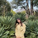 Ha Yeon-soo Instagram - なんていい日