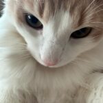 Ha Yeong Instagram – 3