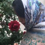 Hadis Fouladvand Instagram - خدا كجاست؟ تو شكوفه هاي گيلاس تو دستاي مادر تو صداي پدر تو خنده ي بچه تو عطر گل محمدي تو پاييز تو بارون تو هرجا كه تو دوست داري خدا هست.
