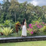 Hagda Prata Instagram – Foi maravilhoso conhecer Ubud, me senti muito conectada com a natureza, e eu não me sentia assim há muito tempo.

Ubud é um lugar bem rústico e simples, mais conhecido pelas belas florestas e templos magníficos. Vale super a pena.

Ficamos no hotel Viceroy Bali, que é um dos mais famosos de Ubud e tudo foi maravilhoso do início ao fim.

O que eu mais indico a vocês visitarem é a Floresta dos macacos, a plantação de café e o Templo de Butuan.

Em relação aos restaurantes, nós quase não comemos fora, pq os restaurantes do hotel eram incríveis e sempre comíamos lá. Os restaurantes do @viceroybali são o @cascadesbali que tem um menu que agrada a todos os gostos e o @aperitifbarbali que é um restaurante gastronômico incrível, ficamos de boca aberta com a qualidade e os sabores. E fora do hotel, o nosso preferido foi o @baleudang que serve comida típica da Indonésia e, enquanto você espera o seu prato, você pode alimentar os peixes do lago.

Obrigada Ubud, espero voltar sempre 🥰🙏🏼

#bali #indonesia #ubud #viceroybali