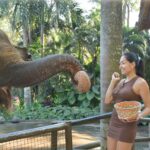 Hagda Prata Instagram - Alimentando o elefante e morrendo de medo dele confundir a minha mão com a banana 😅 É lindo, mas da medo kkk