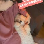 Hale Caneroğlu