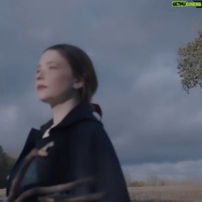 Haley Bennett Instagram - A cosy day exploring the countryside where I live with my friends @cabbages_and_roses and glorious photographer @cathykasterine We also popped over to my dearest @kittengraysonflowers biodynamic flower farm that is filled with natural treasures and where we conjure magic I just love this video we made which is like a time capsule, buried in my heart, for safe keeping, with verse from my favourite Walt Whitman poem 🤍