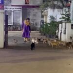Halitha Shameem