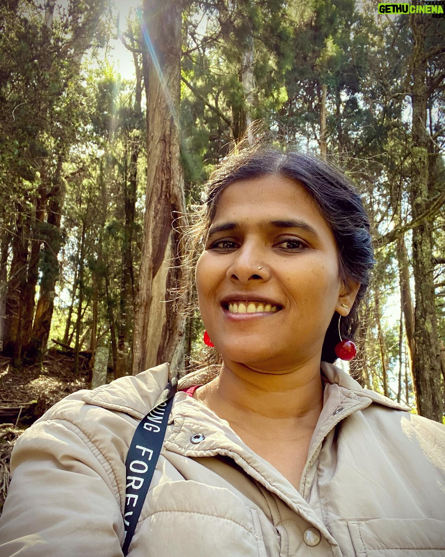 Halitha Shameem - 1.8K Likes - Glare and glint! āØ