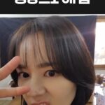 Han Ga-in