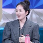 Han Ga-in