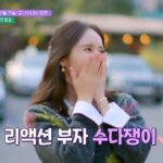 Han Ga-in