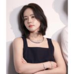 Han Ga-in