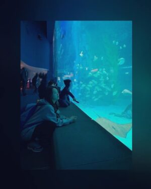 Han Geu-ru Instagram - 🐢🐟🐧