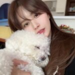 Han Bo-reum Instagram - 블링이 밥먹고 산책하고 행벅💛