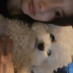 Han Bo-reum Instagram - 블링이 12살? 아직 아가임