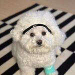 Han Bo-reum Instagram - 블링이🤍