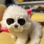 Han Bo-reum Instagram - 블링이🤍
