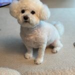 Han Bo-reum Instagram - 🤍🤍