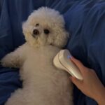 Han Bo-reum Instagram - 블링이🤍