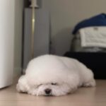 Han Bo-reum Instagram - 블링이🤍