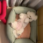Han Bo-reum Instagram - 블링이🤍