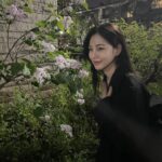 Han Ji-eun Instagram -