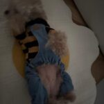 Han Seung-yeon Instagram - 여루마가디마