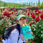 Han Seung-yeon Instagram - 네가 선물해 준 좋은 날씨 다음날까지 잘 썼어! 고마워 처음만난 #조아용 하루종일 나의 #친구용 #용용