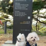 Han Seung-yeon Instagram - #happyday