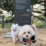Han Seung-yeon Instagram - #happyday