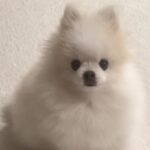 Han Seung-yeon Instagram -