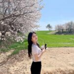 Han So-eun Instagram - 촬영중 쉬는시간에 연갱쓰랑 벚꽃보러 갔다옴 🌸