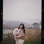 Han So-eun Instagram - 크리스마스 이브도 콩이와 함께 🐶 feat. 14년지기 나의 절친과