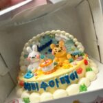 Han Su-ah Instagram - 아주 특별한 생일! 축하해주신 모든 분들 감사합니다 🥳 솨랑단 짱 🤍🧡