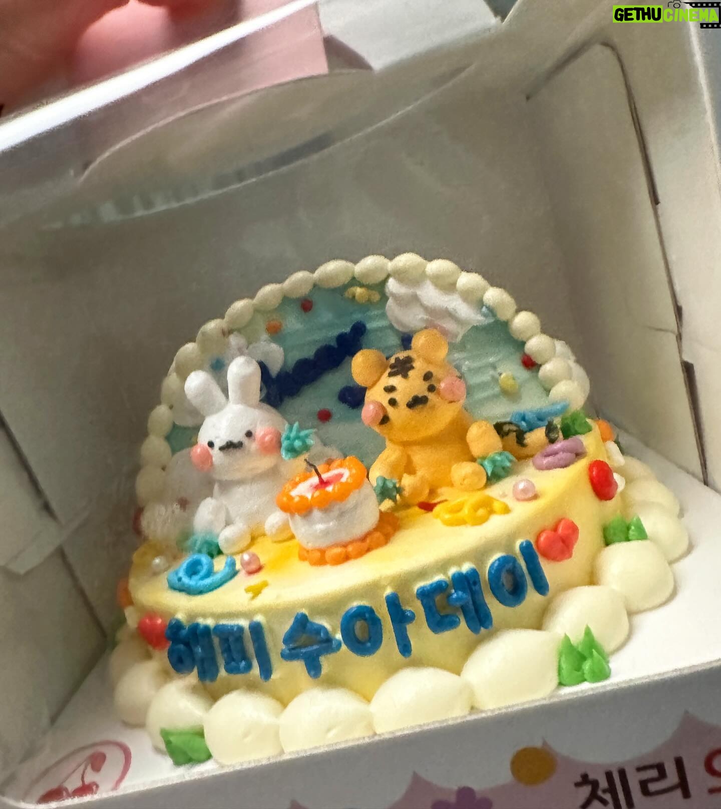 Han Su-ah Instagram - 아주 특별한 생일! 축하해주신 모든 분들 감사합니다 🥳 솨랑단 짱 🤍🧡