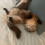 Hana Hayes Instagram – Serotonin boost for finals week