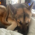 Hana Hayes Instagram – Serotonin boost for finals week