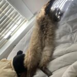 Hana Hayes Instagram – Serotonin boost for finals week