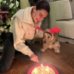 Hande Subaşı Instagram - First New Year & Birthday all together🫶🏼🖤🐶 #january3 @alican_ulusoy #mylittleboysbirthday #myboys #happybirthday #happynewyear #germanshepherd #glennofimaalterrier