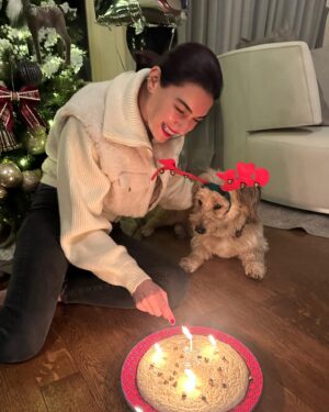 Hande Subaşı Instagram - First New Year & Birthday all together🫶🏼🖤🐶 #january3  @alican_ulusoy #mylittleboysbirthday #myboys #happybirthday #happynewyear #germanshepherd #glennofimaalterrier