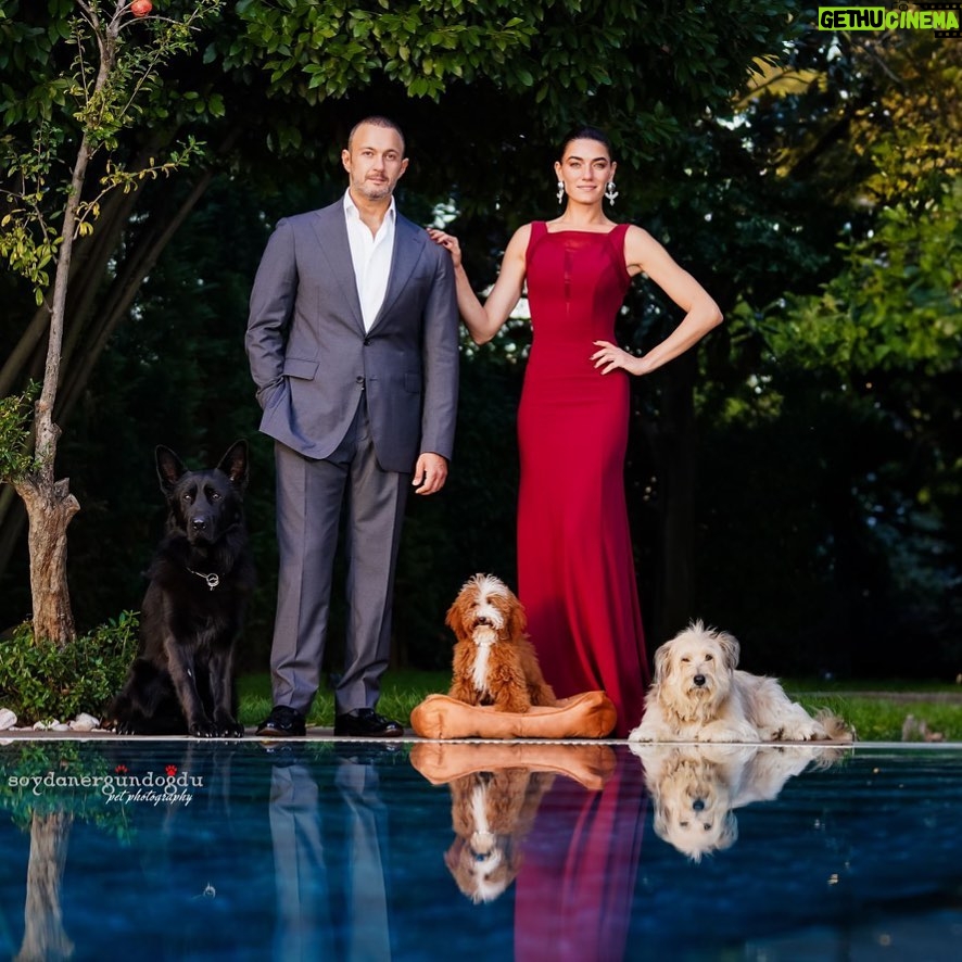Hande Subaşı Instagram - “ Family Portrait “ 🤍🧿 Aşklarımmm❤️🥹 #onlygoodvibes Muhteşem fotoğraflar için çok teşekkürler 🙏🏼🫠 @soydanerpetphotography #myeverything #güzeladam #myboys #mygirl #germanshepherd #labradoodle #glennofimaalterrier