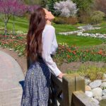 Haneia Maurer Instagram - Au milieux d’un arc-en-ciel de tulipes 🌷