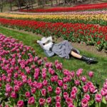 Haneia Maurer Instagram - Au milieux d’un arc-en-ciel de tulipes 🌷