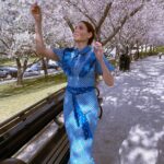 Haneia Maurer Instagram - 🌸cherry blossom🌸