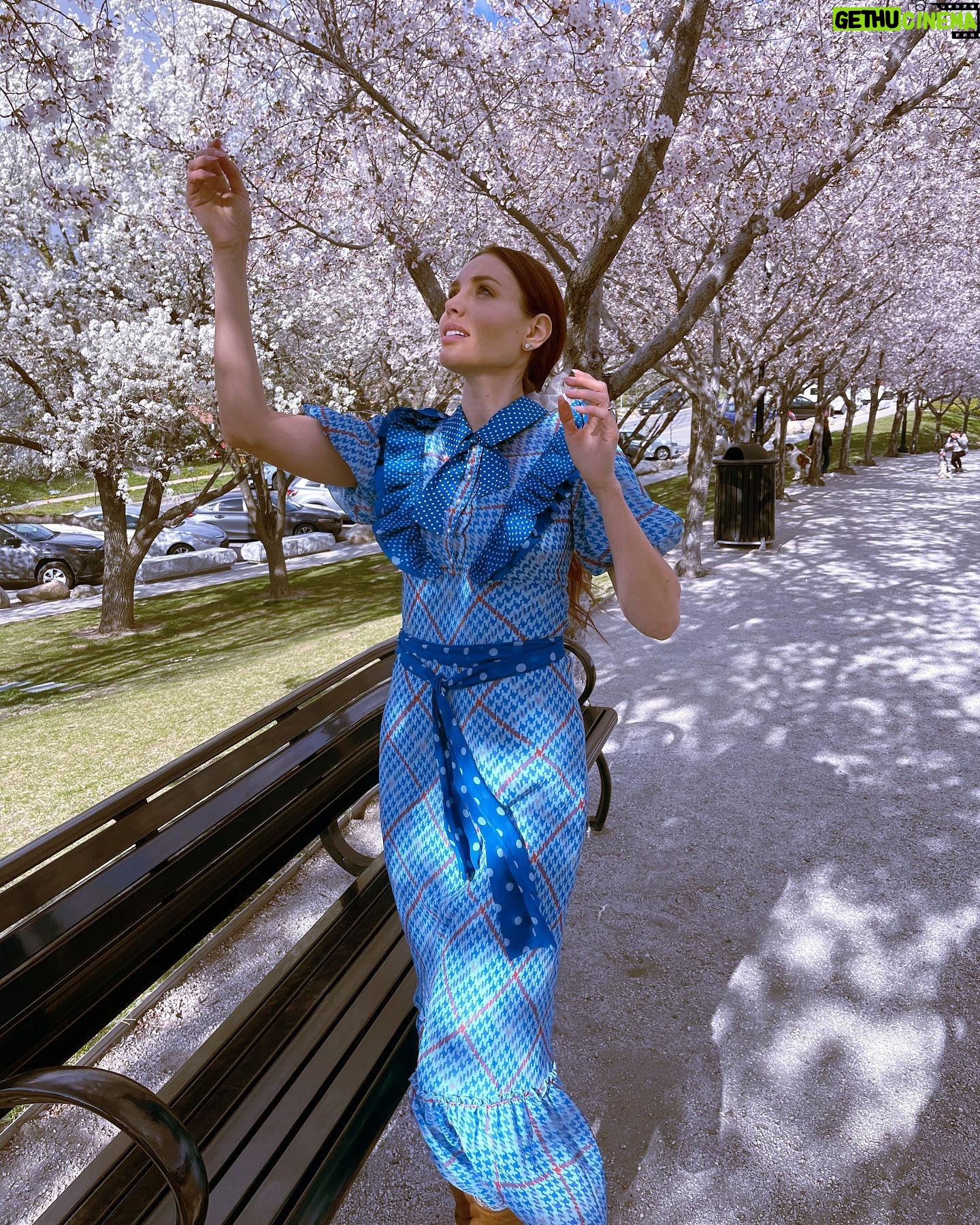 Haneia Maurer Instagram - 🌸cherry blossom🌸