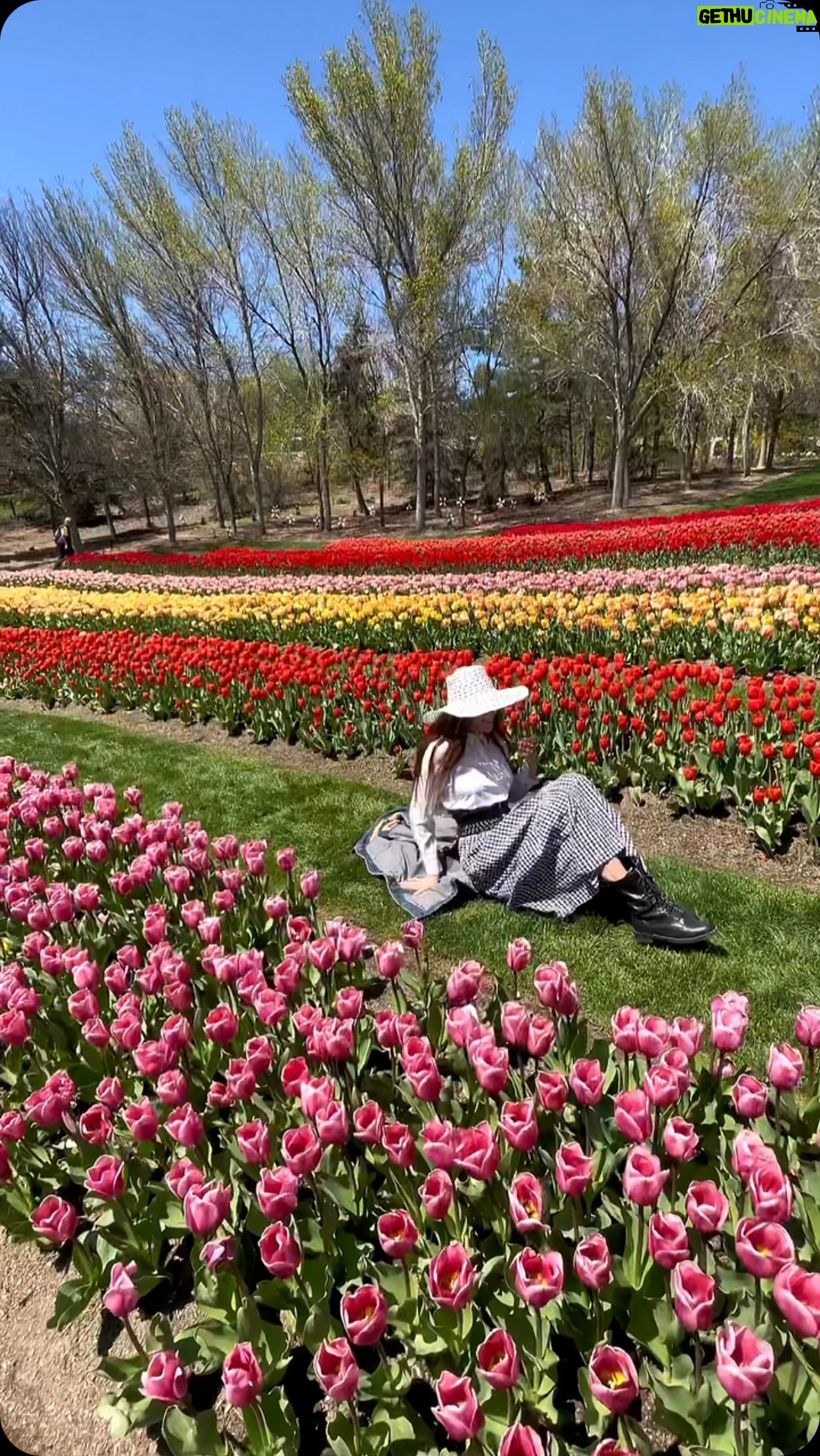 Haneia Maurer Instagram - Voilà, où je continue mon chemin . ☀️🌷