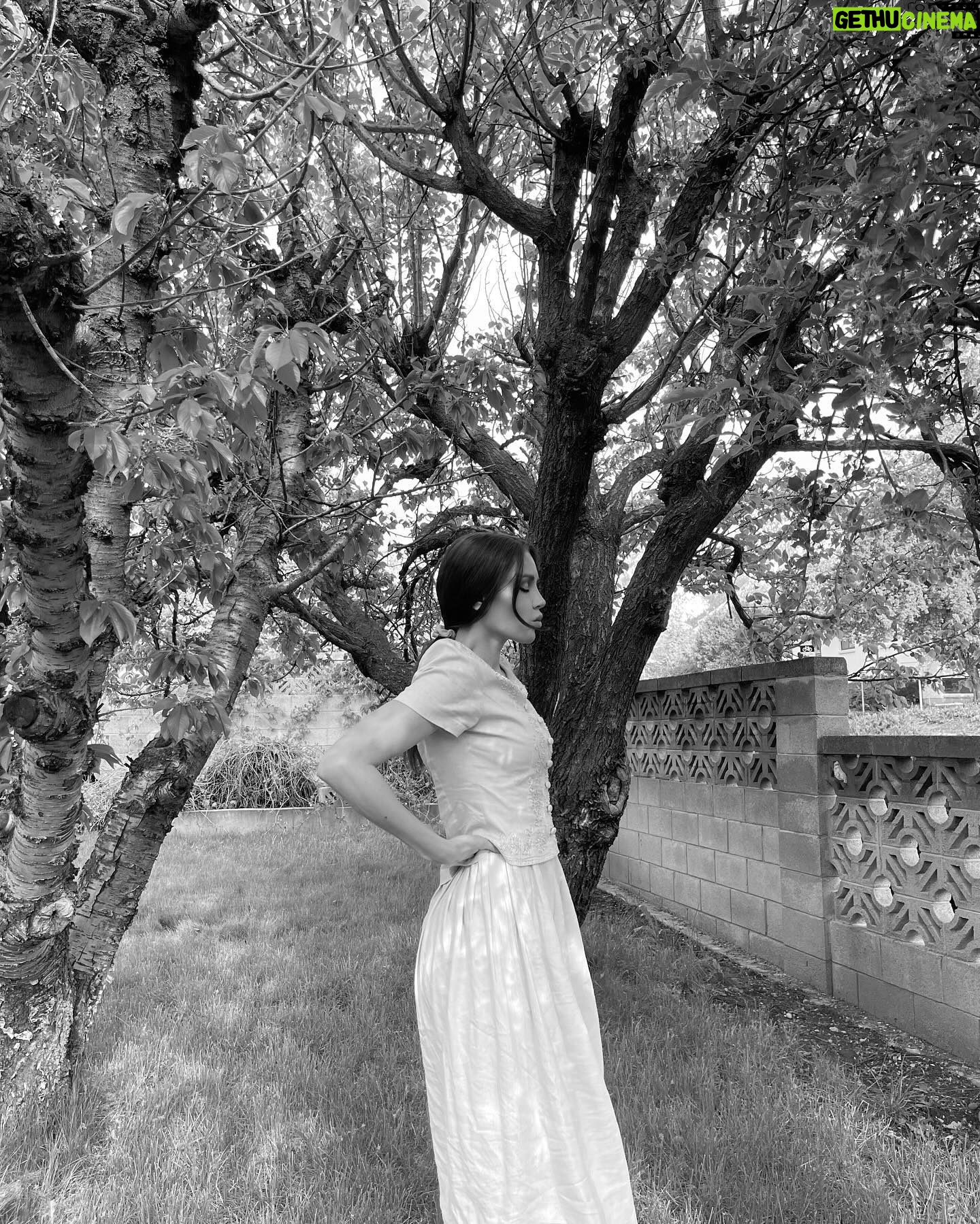 Haneia Maurer Instagram - Afternoon in the garden