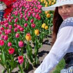 Haneia Maurer Instagram - Au milieux d’un arc-en-ciel de tulipes 🌷