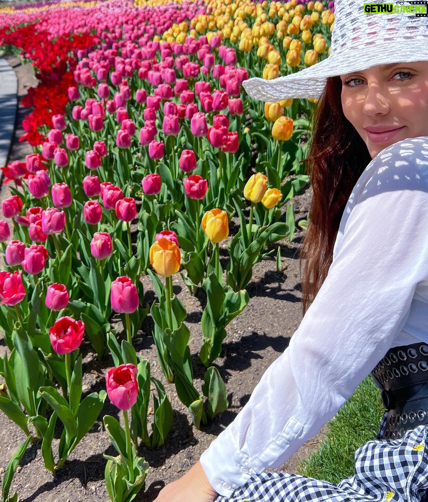 Haneia Maurer Instagram - Au milieux d’un arc-en-ciel de tulipes 🌷