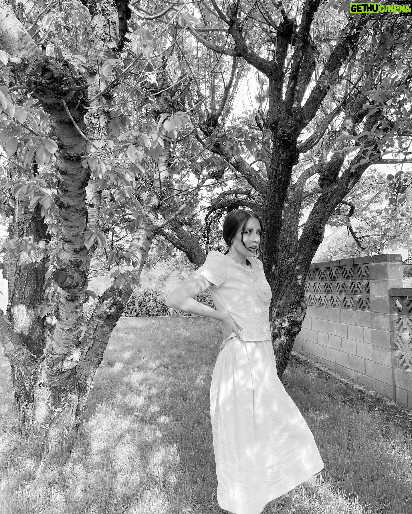 Haneia Maurer Instagram - Afternoon in the garden
