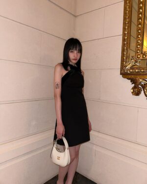 Hanna Chan Instagram - The 60th Golden Horse Awards with 年少日記 team 🖤

Wardrobe @miumiu