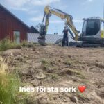 Hanna Hellquist Instagram - Det största har hänt. Ines har, efter 9 års idogt grävande, fångat sin första sork.