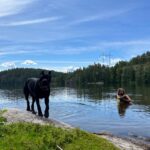 Hanna Hellquist Instagram - Hot girl/black dog summer. @evaelinak